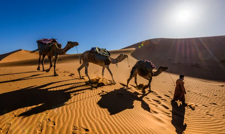 travel bucket list Sahara Desert camels on sand and sunset