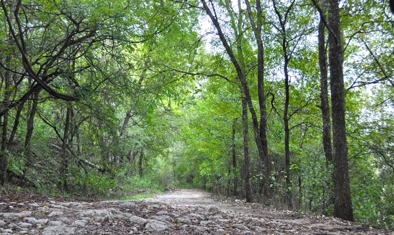 barton creek greenbelt hiking austin