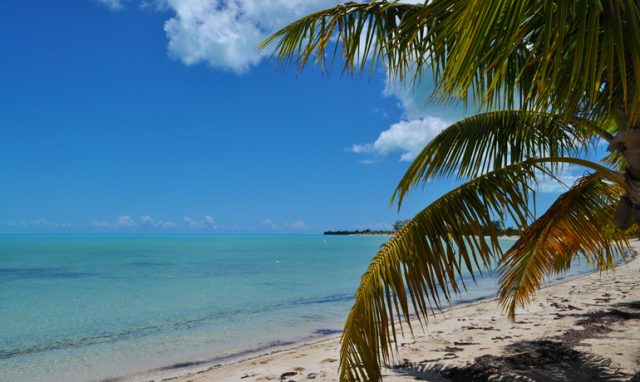 Best Beaches in Turks and Caicos - She Saves She Travels