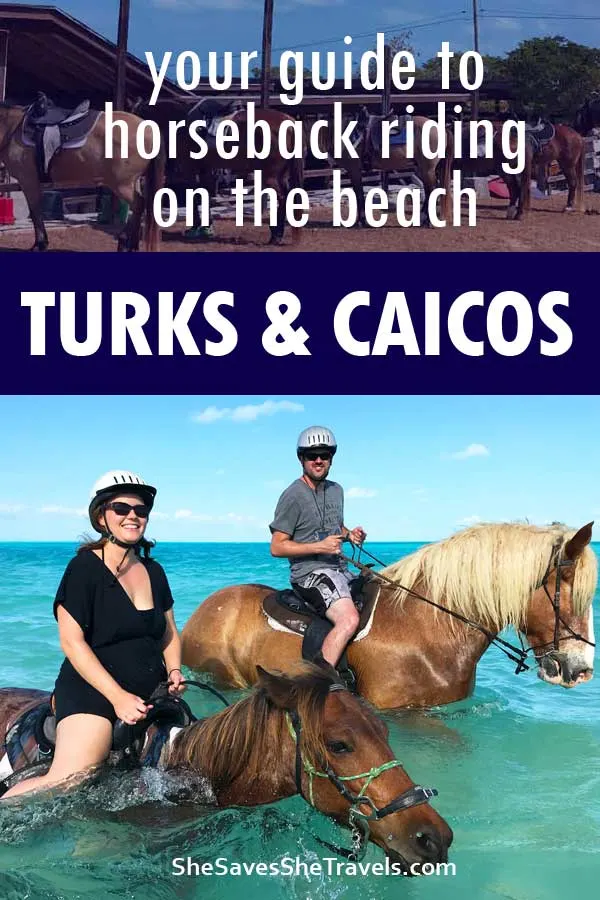 your guide to horseback riding on the beach turks and caicos