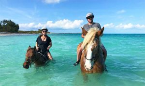 Horseback Riding Turks and Caicos (what you need to know before you go ...