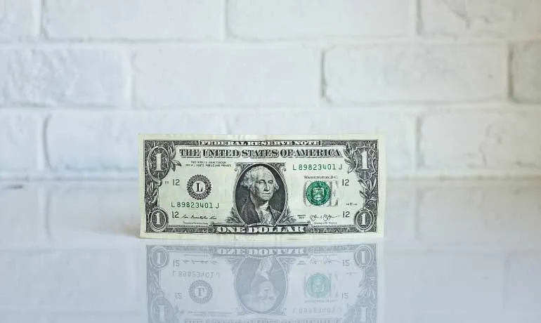dollar bill on brick