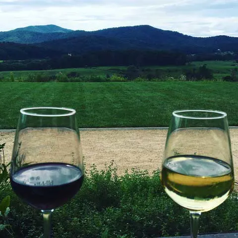 wine country in Charlottesville Virginia with mountains in background