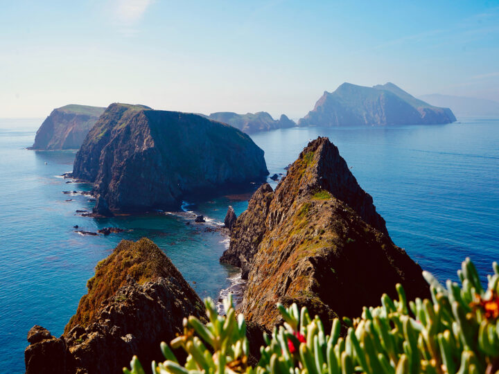 Underrated Travel Destinations in the US photo of rocky cliffs coming up from blue ocean with flowers in foreground