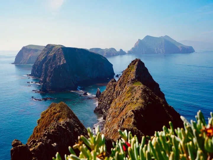 adventurous vacations in the us view of narrow islands flowing into ocean with flowers in foreground