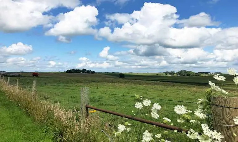 beautiful plains of northwest iowa fields with wildflowers