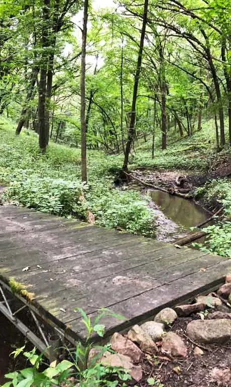 fort defiance state park hiking trail with bridge and trees
