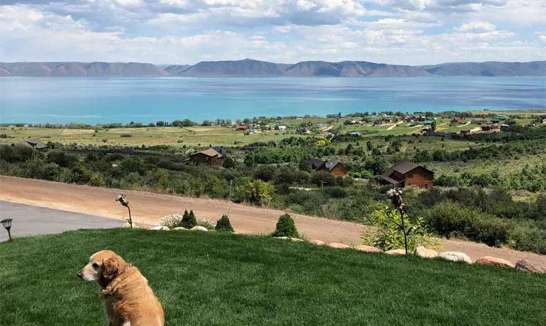 Bear Lake Idaho overlooking the lake with dog and lake homes