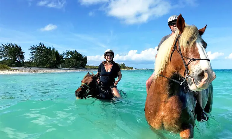 turks and caicos on a budget even including activities like horseback riding