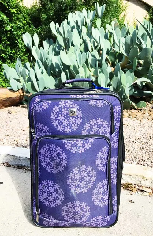 suitcase sitting outside with cactus in backgroun