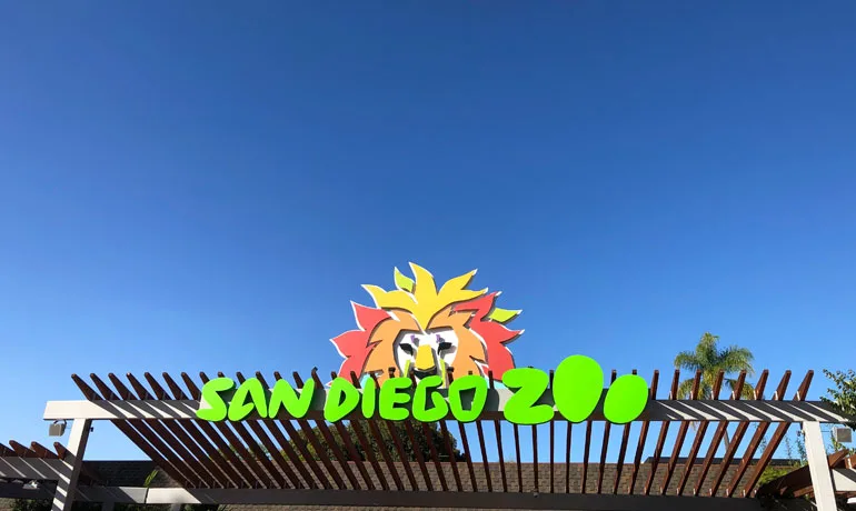 San Diego zoo!