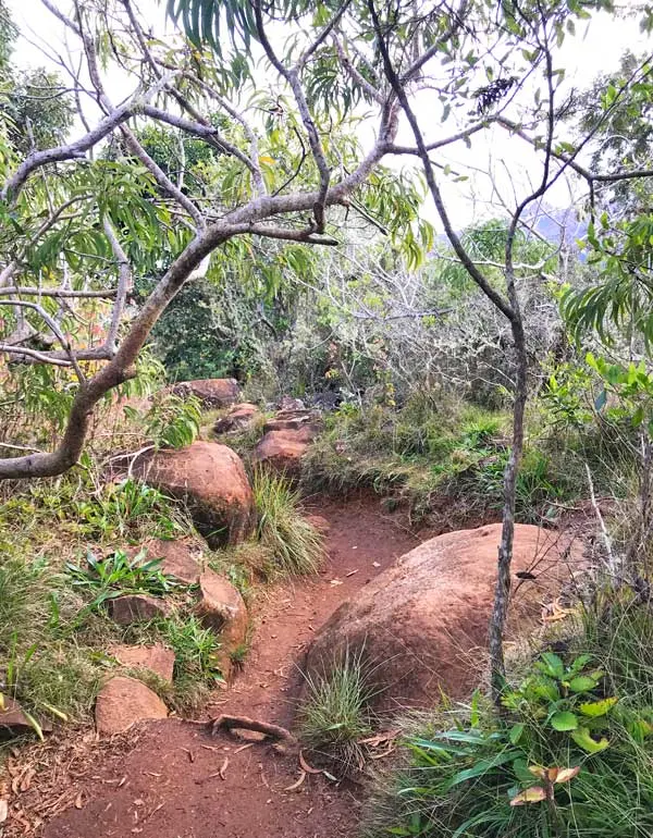 Waimea Canyon Trail in Kauai