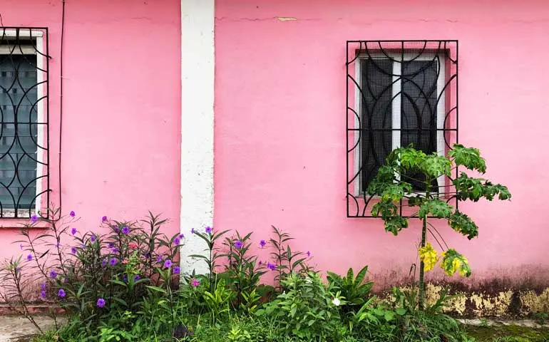 pink house in San Ignacio