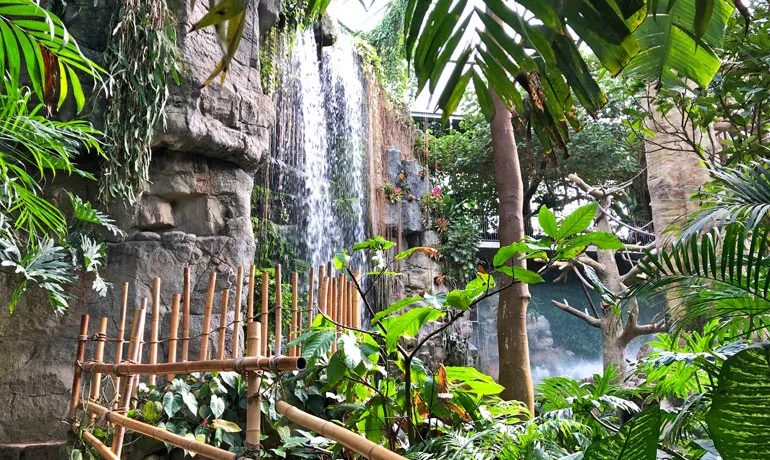 Nebraska travel guide picture of waterfall lush tropical foliage