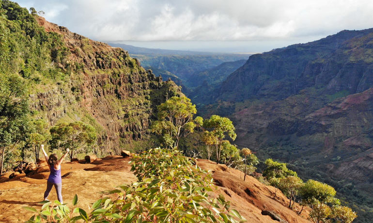 Hiking Waimea Canyon Trail Everything You Need To Know