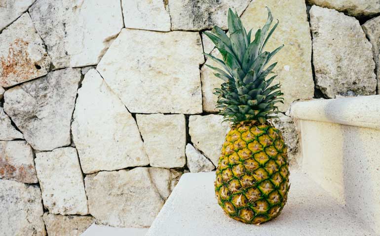 zero food waste challenge - pineapple on steps