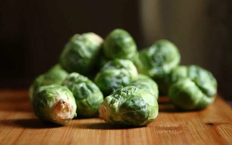 waste less veggies - brussel sprouts