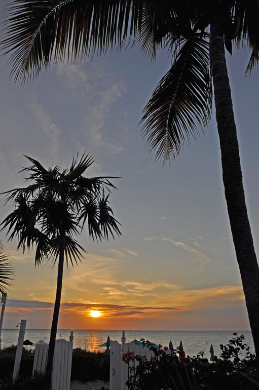 Bay Bistro on Grace Bay Beach