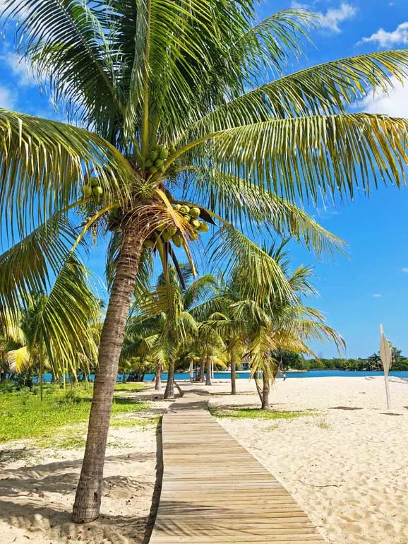 boardwalk in Placencia Belize 