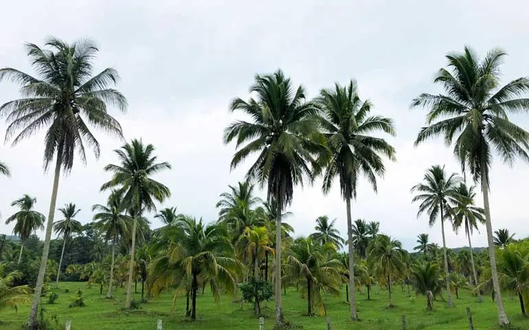 Road trip through Belize