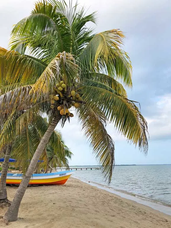 beautiful beaches in Belize - top things to do