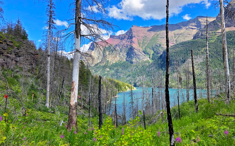 montana vacations mountains teal lake and trees on a sunny day