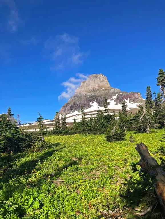 crown of the continent view of wild flowers