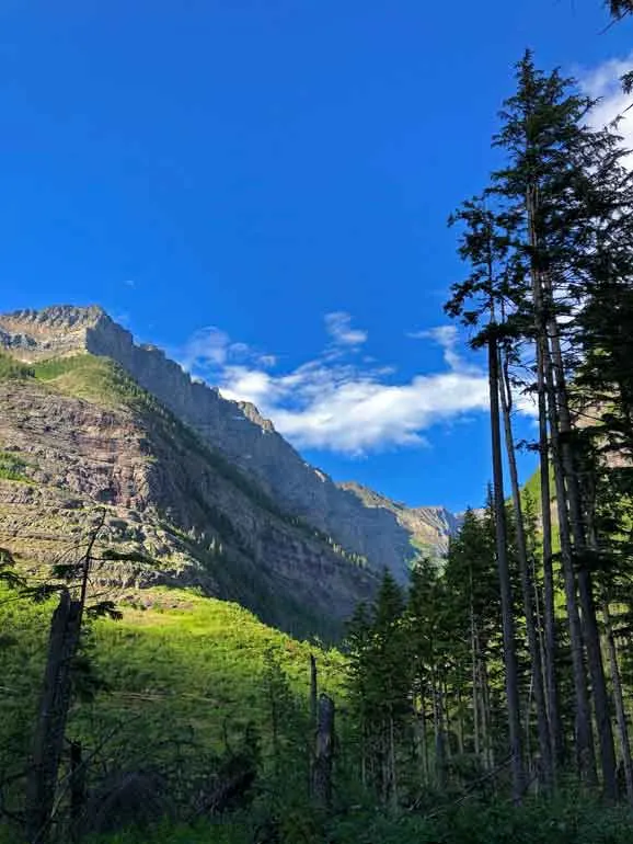 trail to avalanche lake