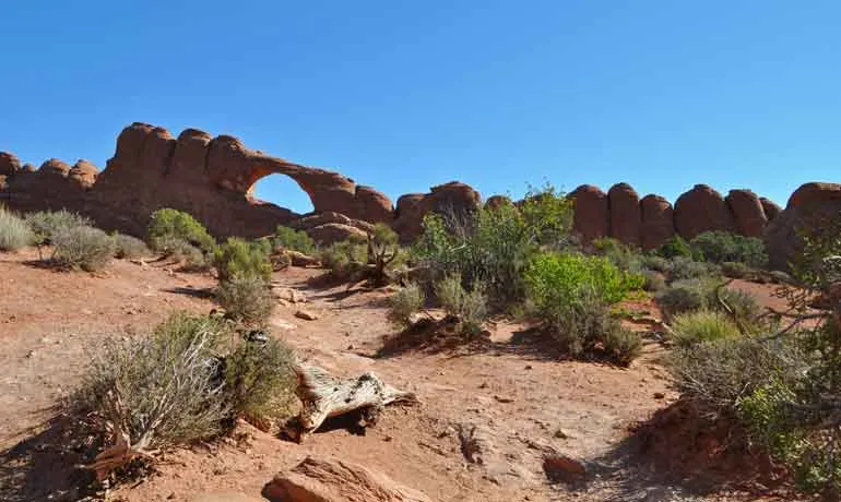 skyline arch