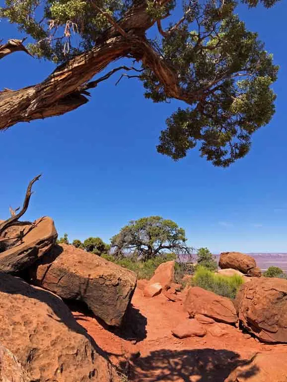 hiking trails canyonlands national park