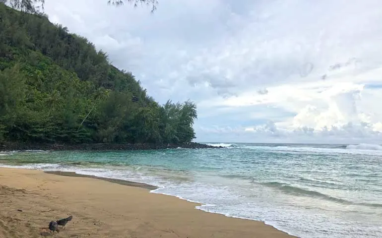 kee beach Kauai Hawaii