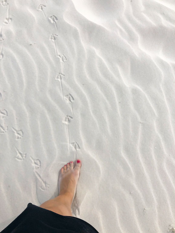 most beautiful beach in the usa gulf shores alabama