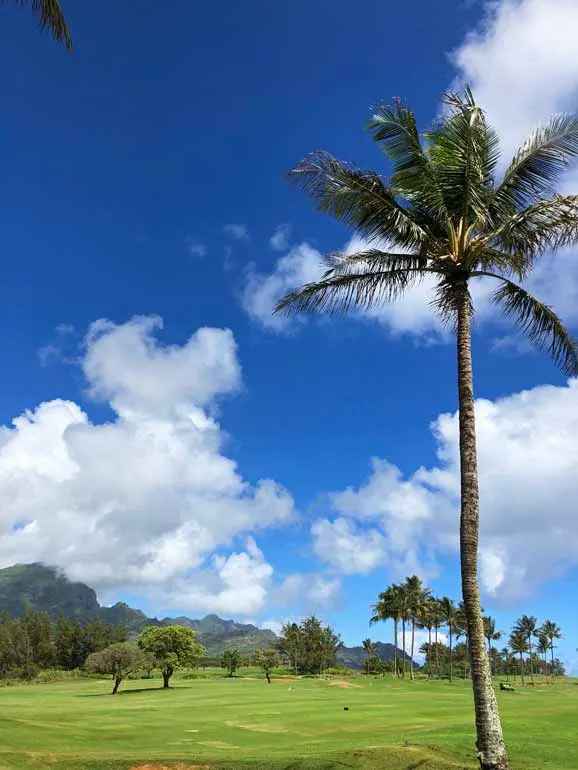 golf course views kauai