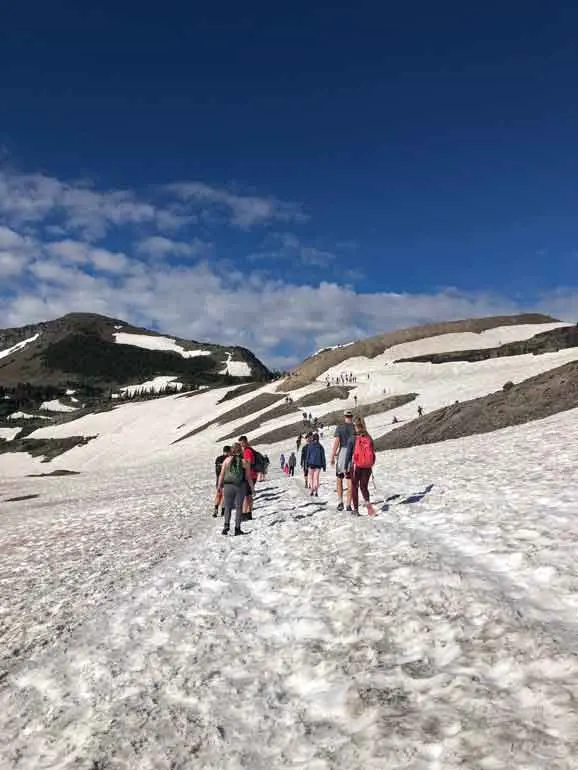hiking hidden lake trail glacier national park