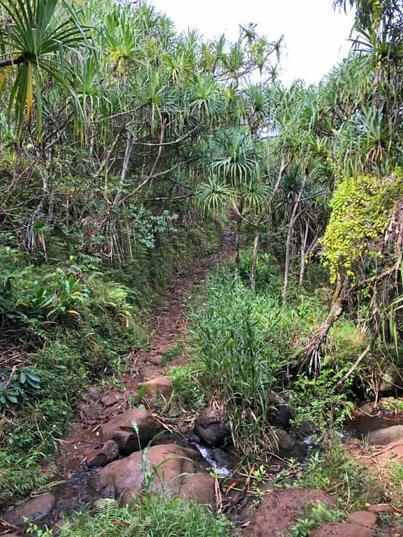 incline on the kalalau trail kauai