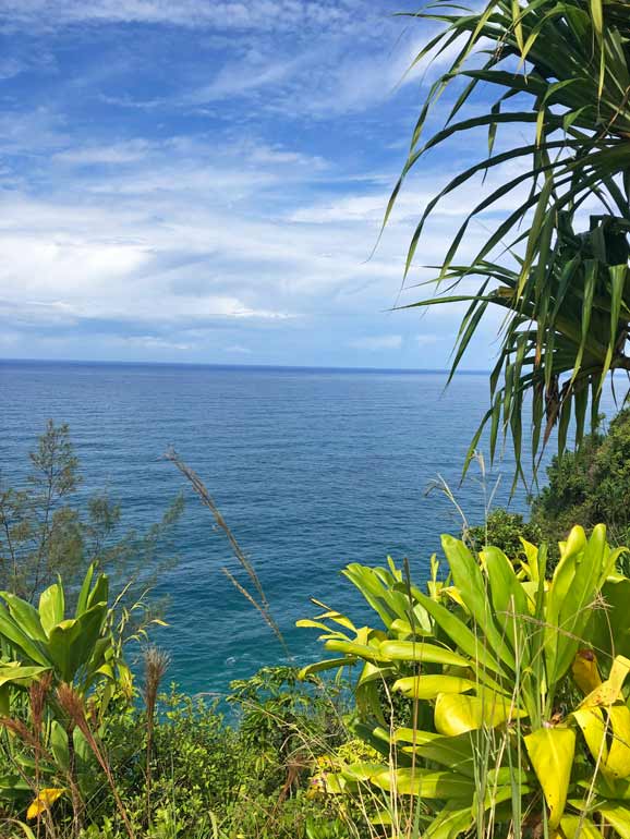 views of the Hawaiian water