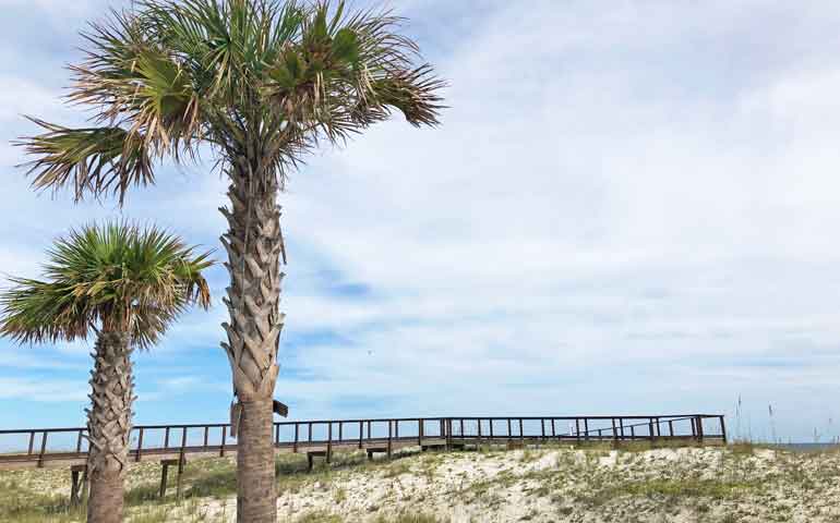 sand dunes gulf shores