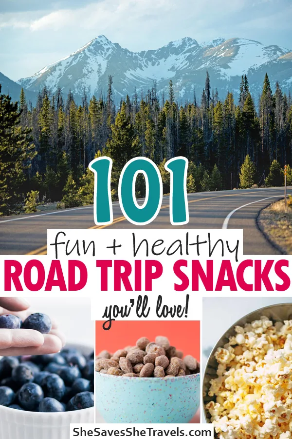 101 fun and healthy road trip snacks you'll love