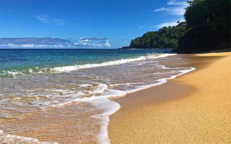 best swimming beaches in kauai for swimming