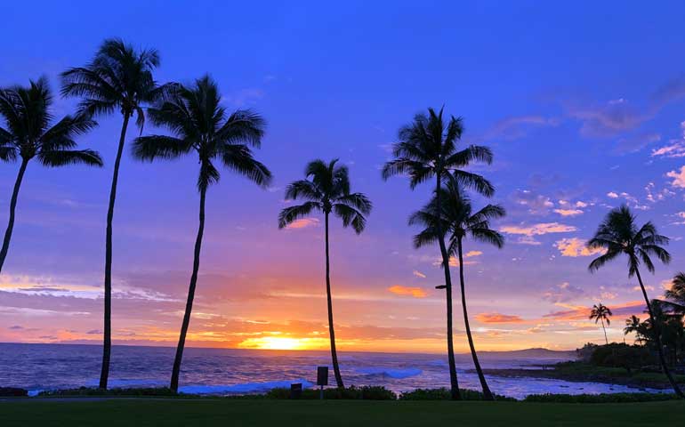 hawaii vacation with palm trees and ocean against purple sky sunset