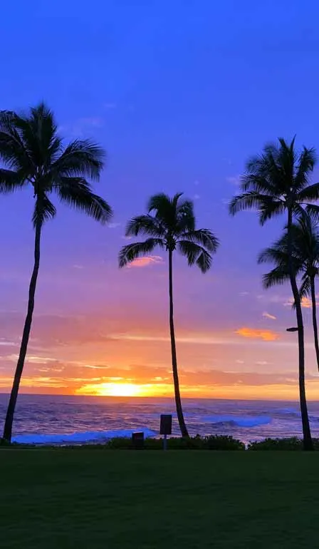 sunset on the beach kauai