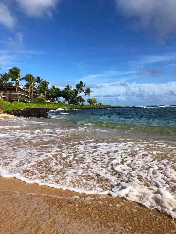 south shore waves