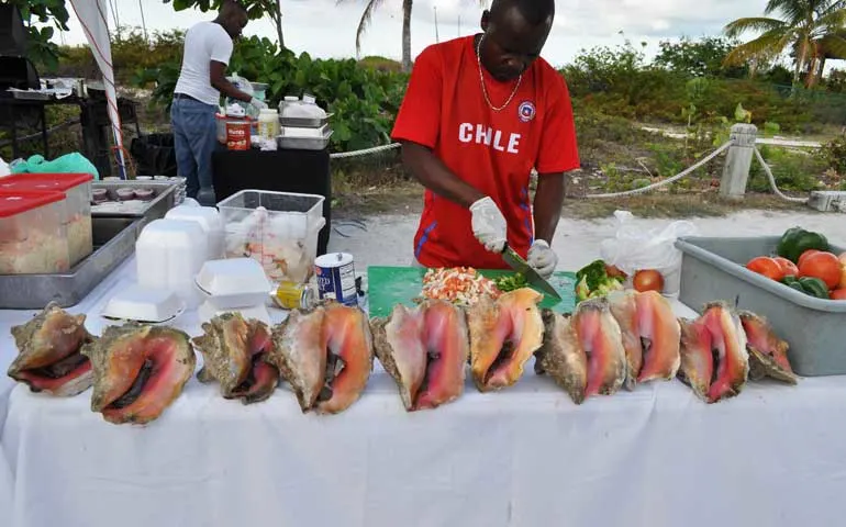 conch at fish fry