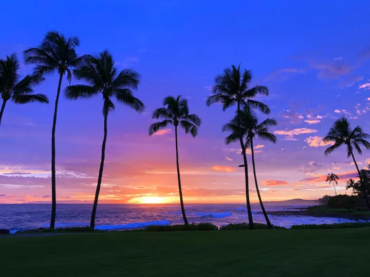 romantic vacations in the United States photo of beach at sunset purple sky, palm trees