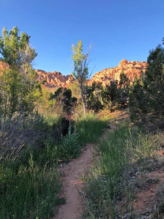 trail near waterfall