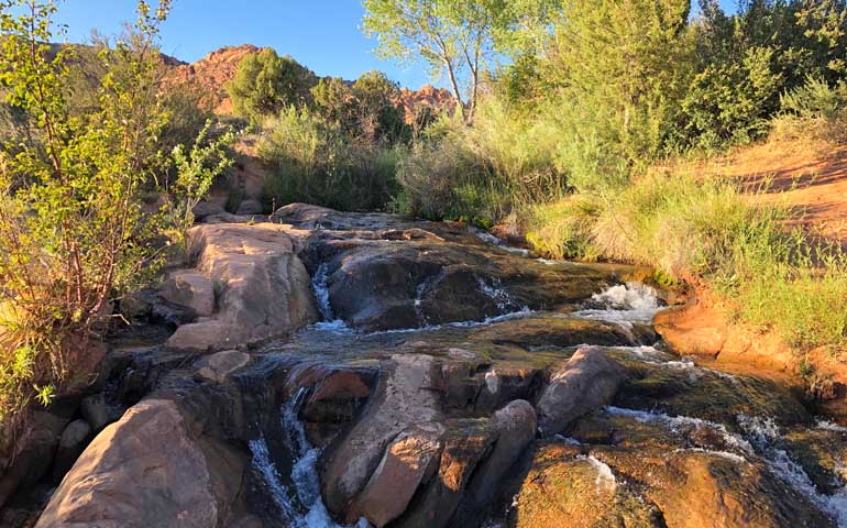 close up of babbling brook