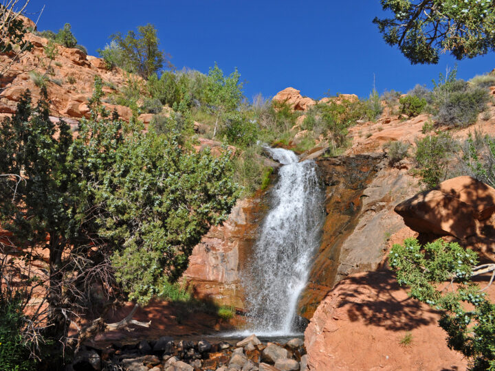 faux falls moab picture of water falling off red rocky cliff with green trees in desert setting