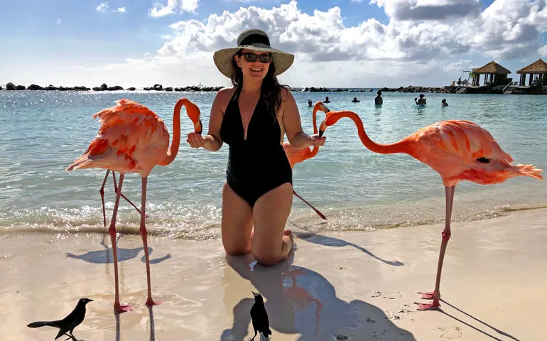 flamingo beach in aruba