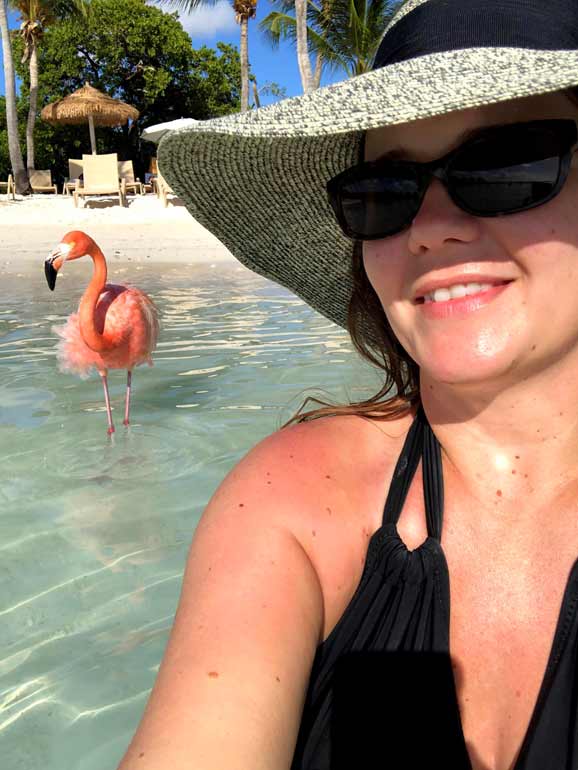 flamingo selfie