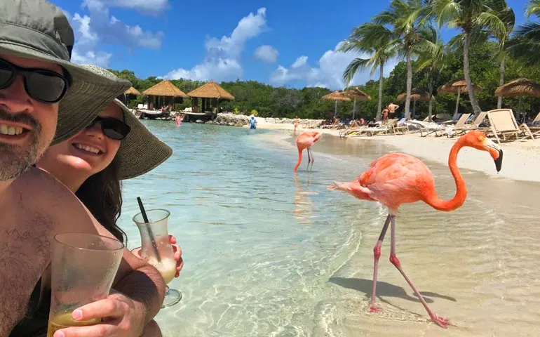 flamingo selfie